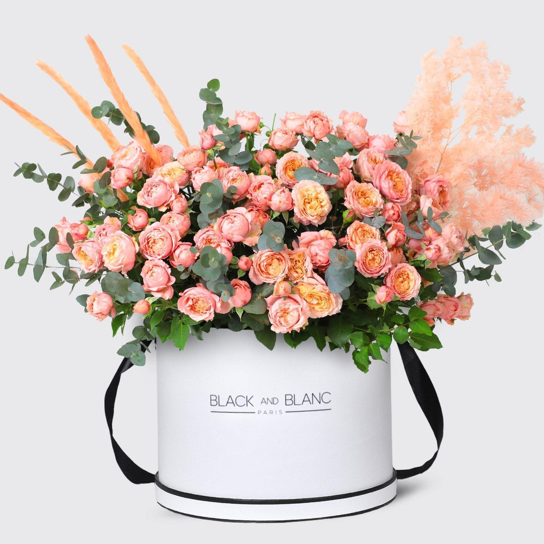 Julietta Peach in Box - BLACK AND BLANC