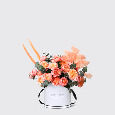 Julietta Peach in Box - Fresh Flowers - Le Medium / White - wd