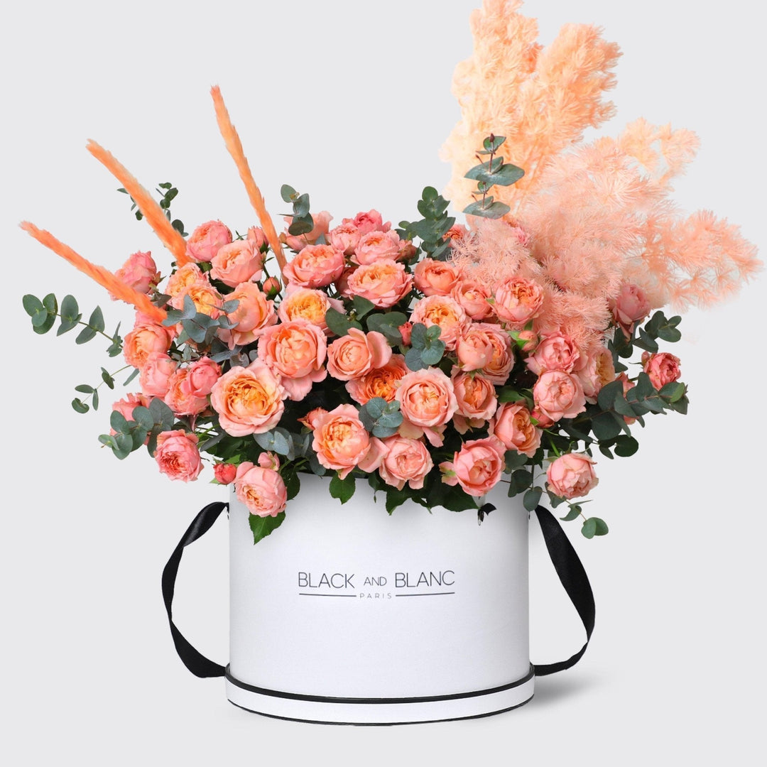 Julietta Peach in Box - BLACK AND BLANC