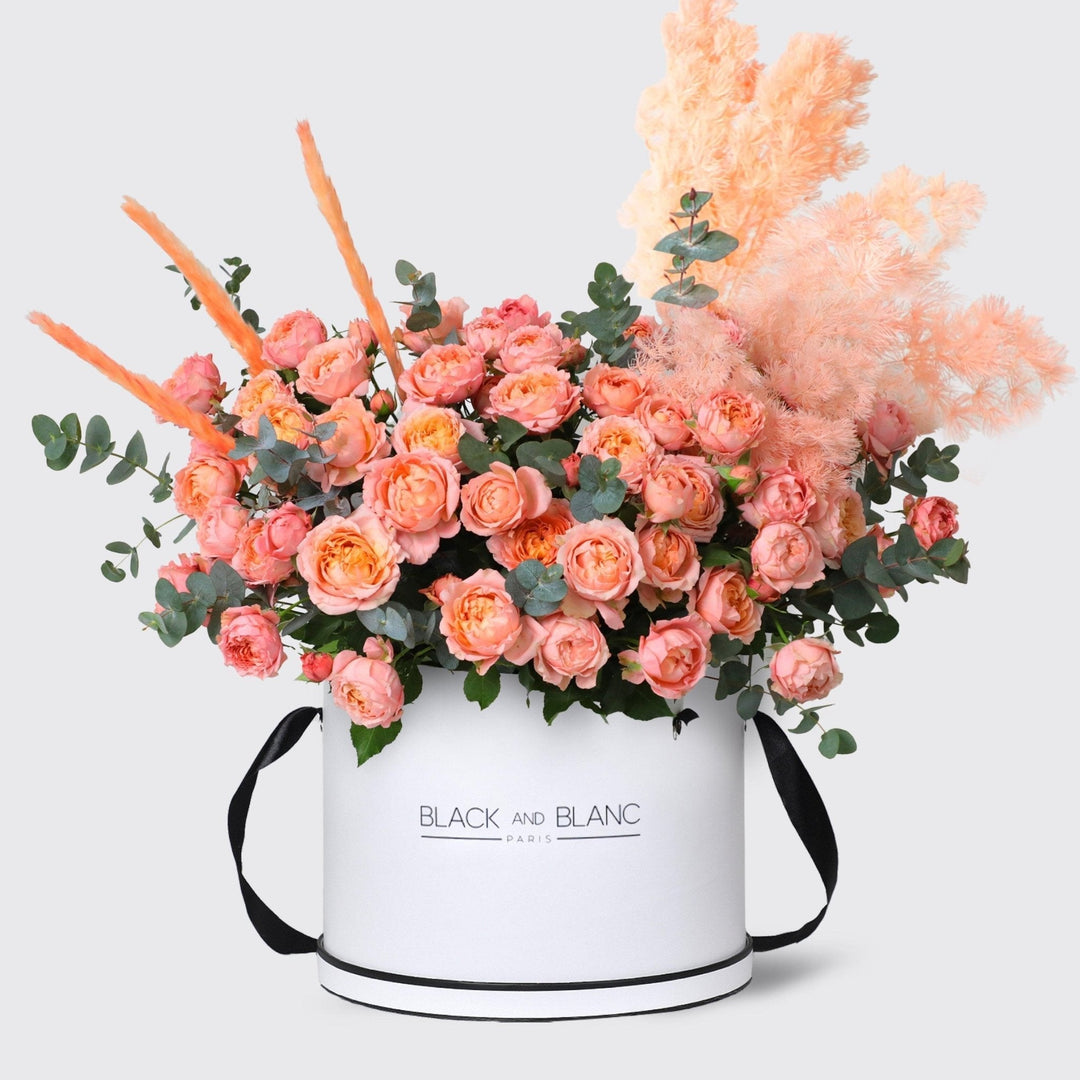 Julietta Peach in Box - BLACK AND BLANC