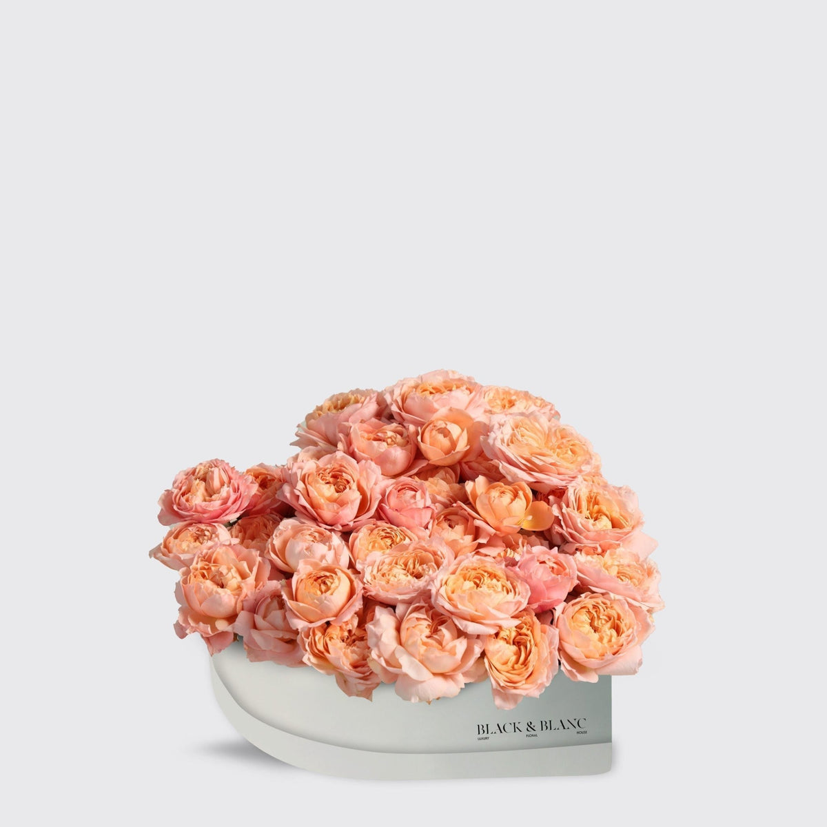 Julietta Peach in Heart - BLACK AND BLANC