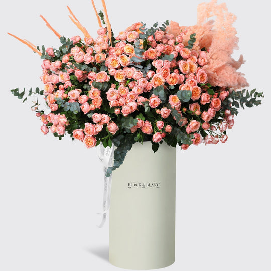 Julietta Peach in Pinnacle Box - BLACK AND BLANC