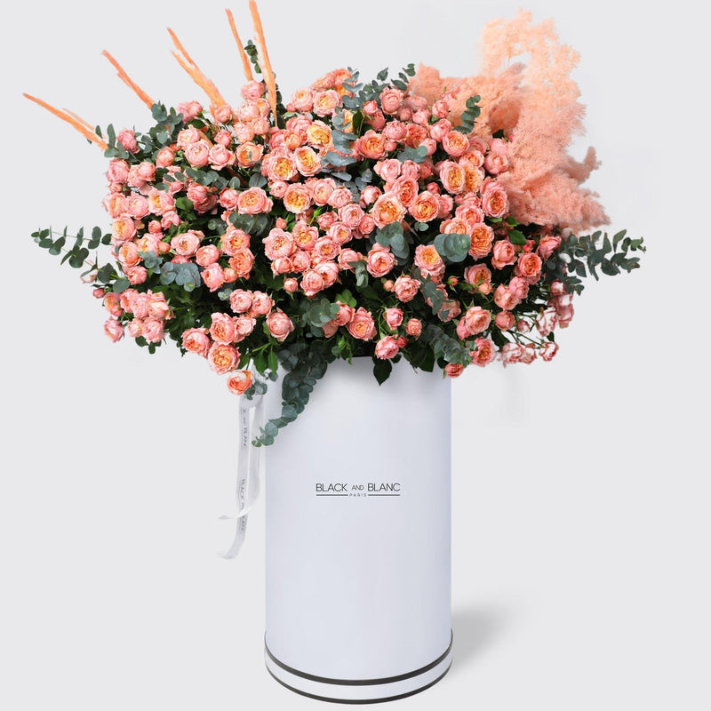 Julietta Peach in Pinnacle Box - BLACK AND BLANC