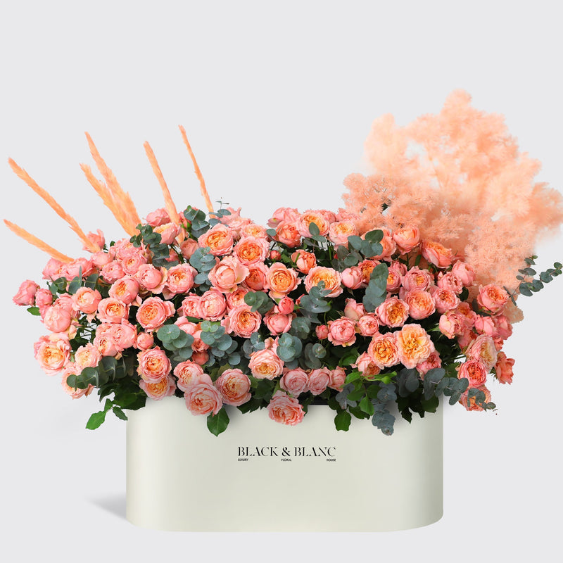 Julietta Peach in Zenith Box