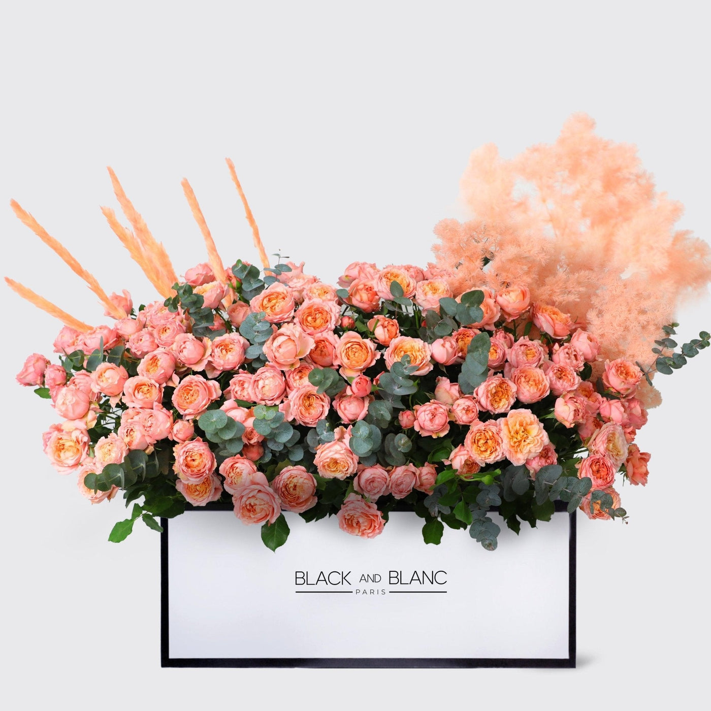 Julietta Peach in Zenith Box - BLACK AND BLANC