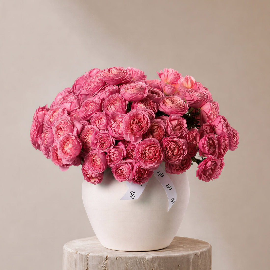 Kirz Garden Roses in Ivory Vase - BLACK AND BLANC