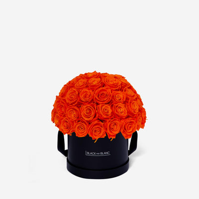 Orange Dôme Classic - Infinity Roses - BLACK AND BLANC