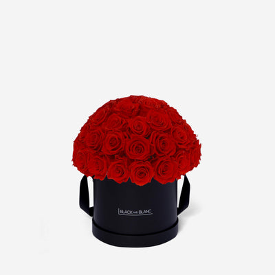 Vibrant Red Dôme Classic - Infinity Roses - BLACK AND BLANC