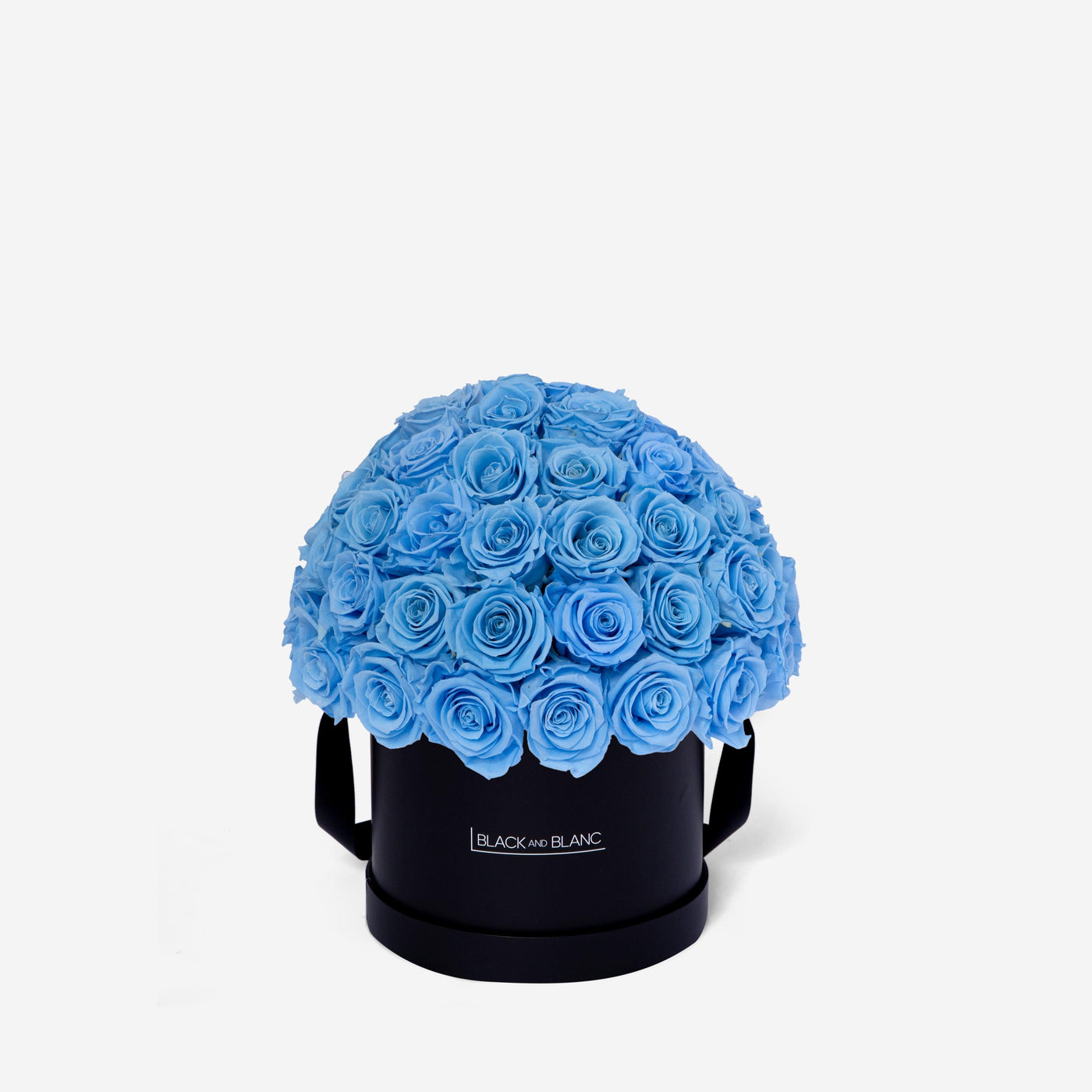Baby Blue Dôme Classic - Infinity Roses - BLACK AND BLANC