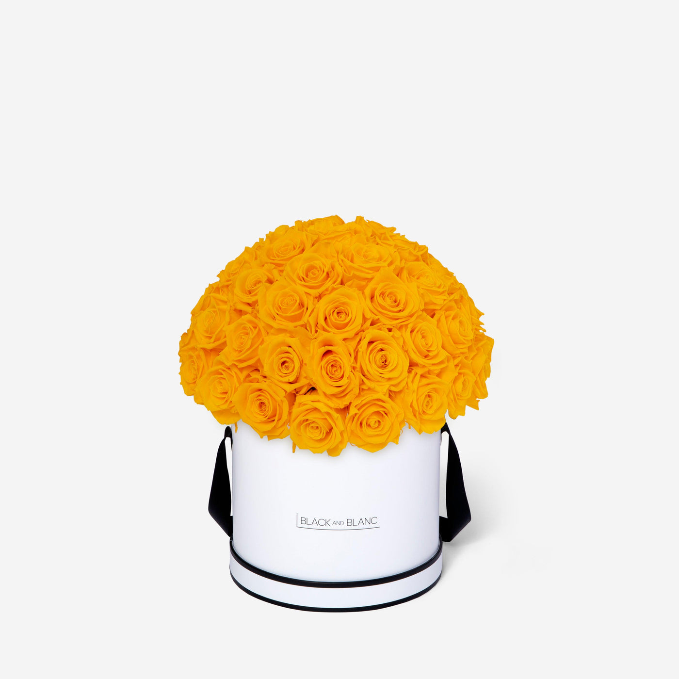 Sunny Yellow Dôme Classic - Infinity Roses - BLACK AND BLANC