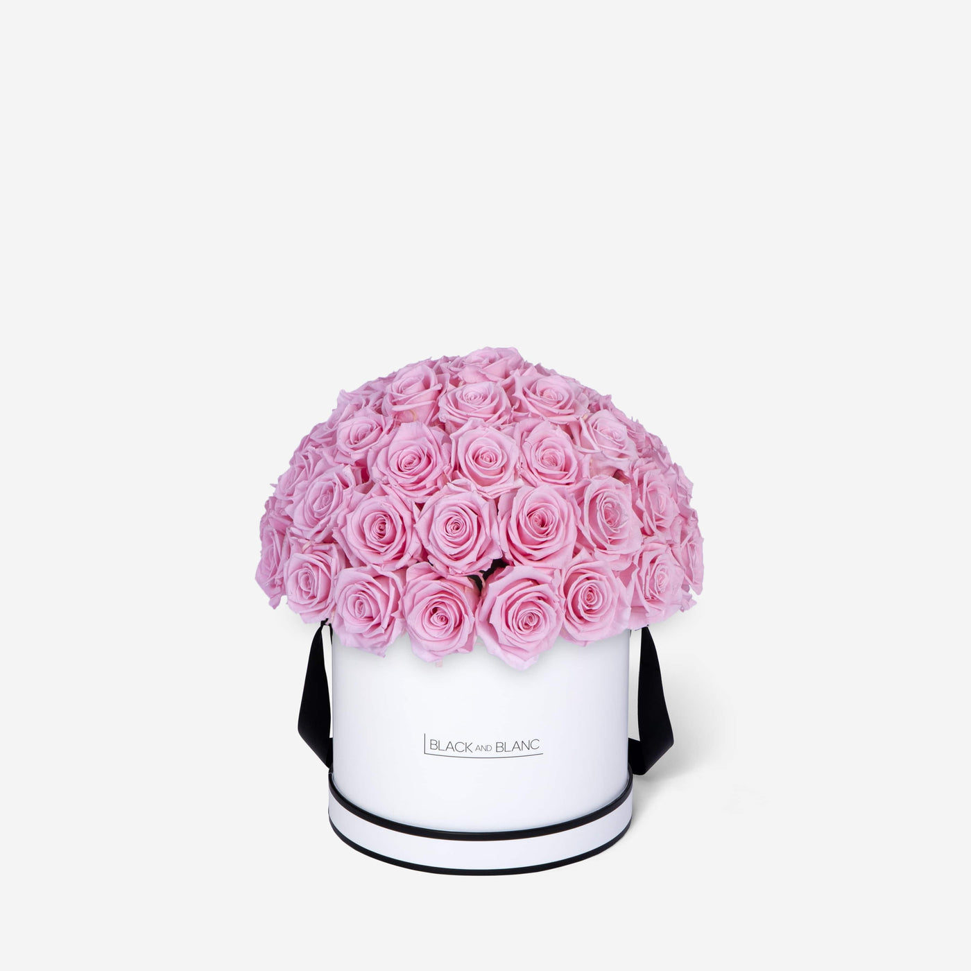 Bridal Pink Dôme Classic - Infinity Roses - BLACK AND BLANC