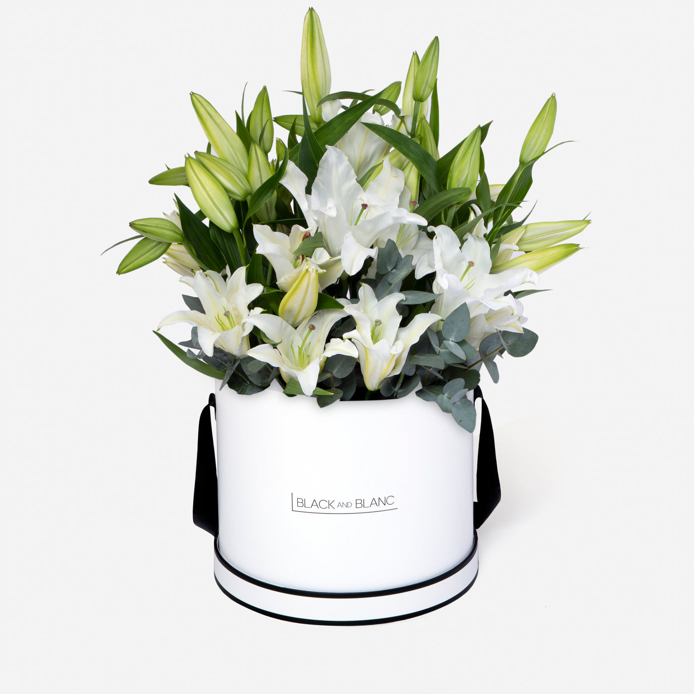 Lily White in Box - Fresh Flowers