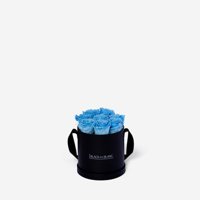 Baby Blue Round - Infinity Roses - BLACK AND BLANC
