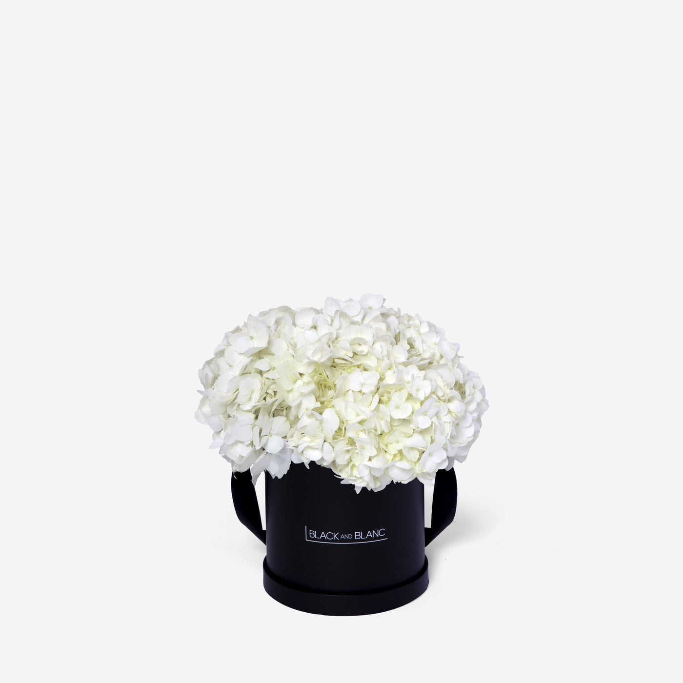 White Hydrangea in Box - Fresh Flowers