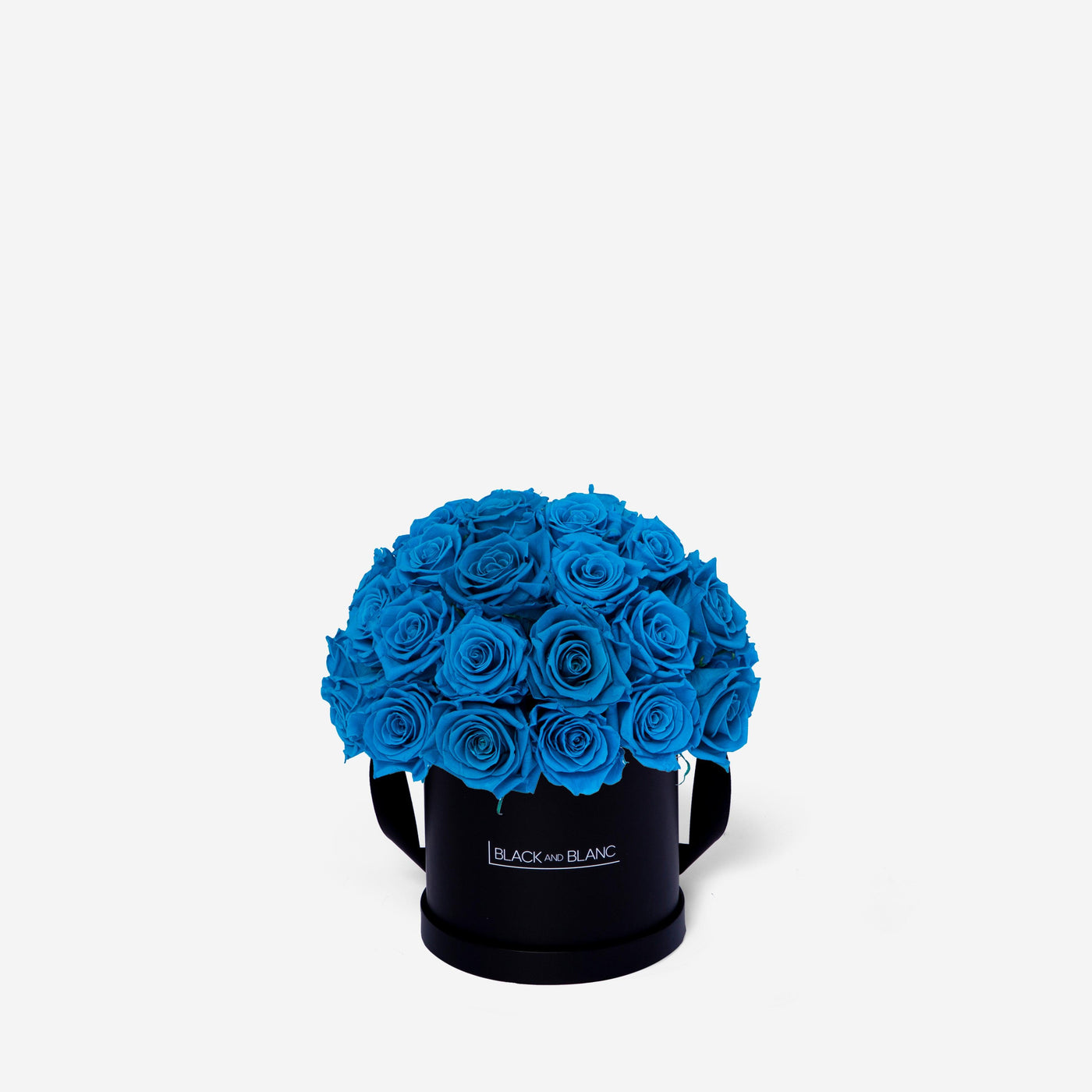 Aqua Blue Dôme Classic - Infinity Roses - BLACK AND BLANC