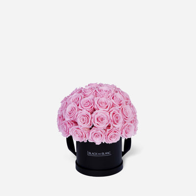 Bridal Pink Dôme Classic - Infinity Roses - BLACK AND BLANC