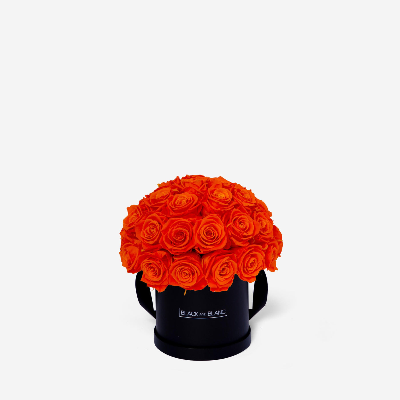 Orange Dôme Classic - Infinity Roses - BLACK AND BLANC