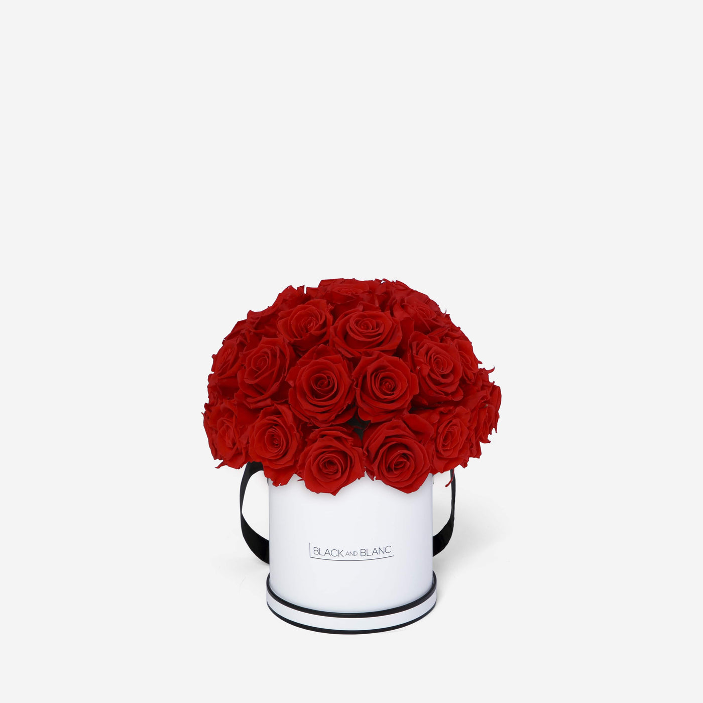 Vibrant Red Dôme Classic - Infinity Roses - BLACK AND BLANC