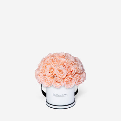 Blush Dôme Classic - Infinity Roses - BLACK AND BLANC