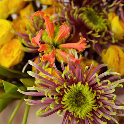 Lemon Light Bouquet - BLACK AND BLANC