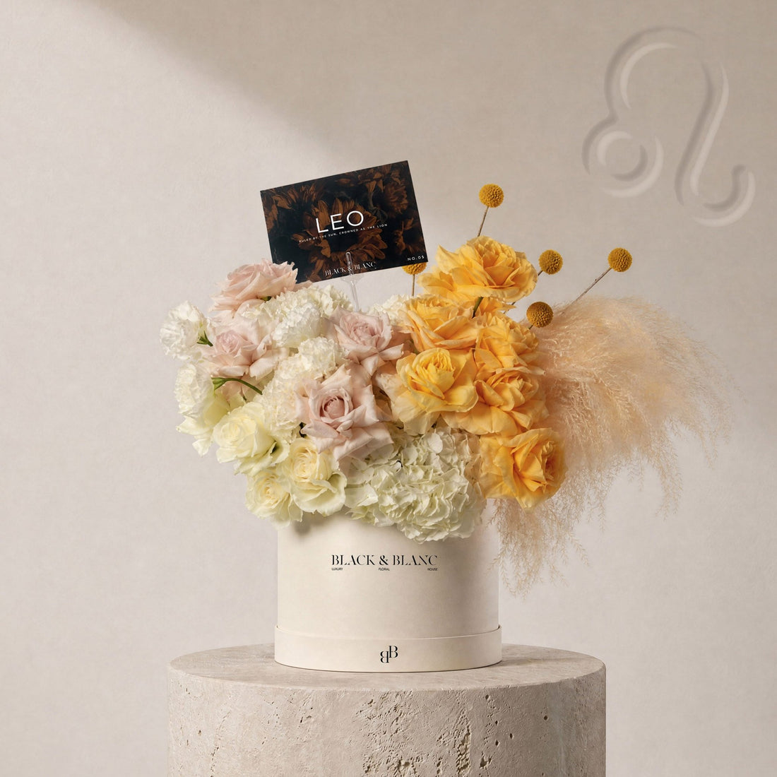 Leo - The Gilded in Box - BLACK AND BLANC