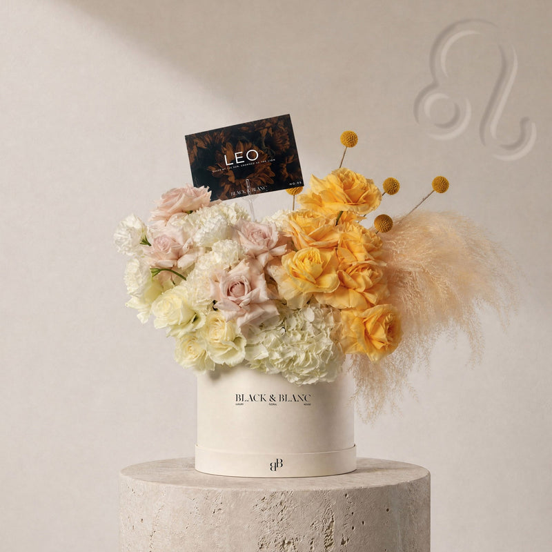 Leo - The Gilded in Box - BLACK AND BLANC