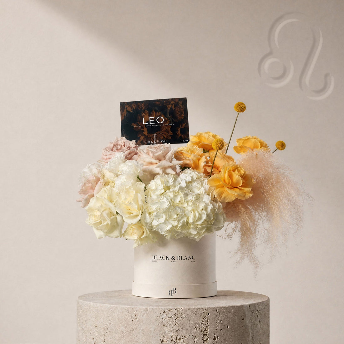 Leo - The Gilded in Box - BLACK AND BLANC