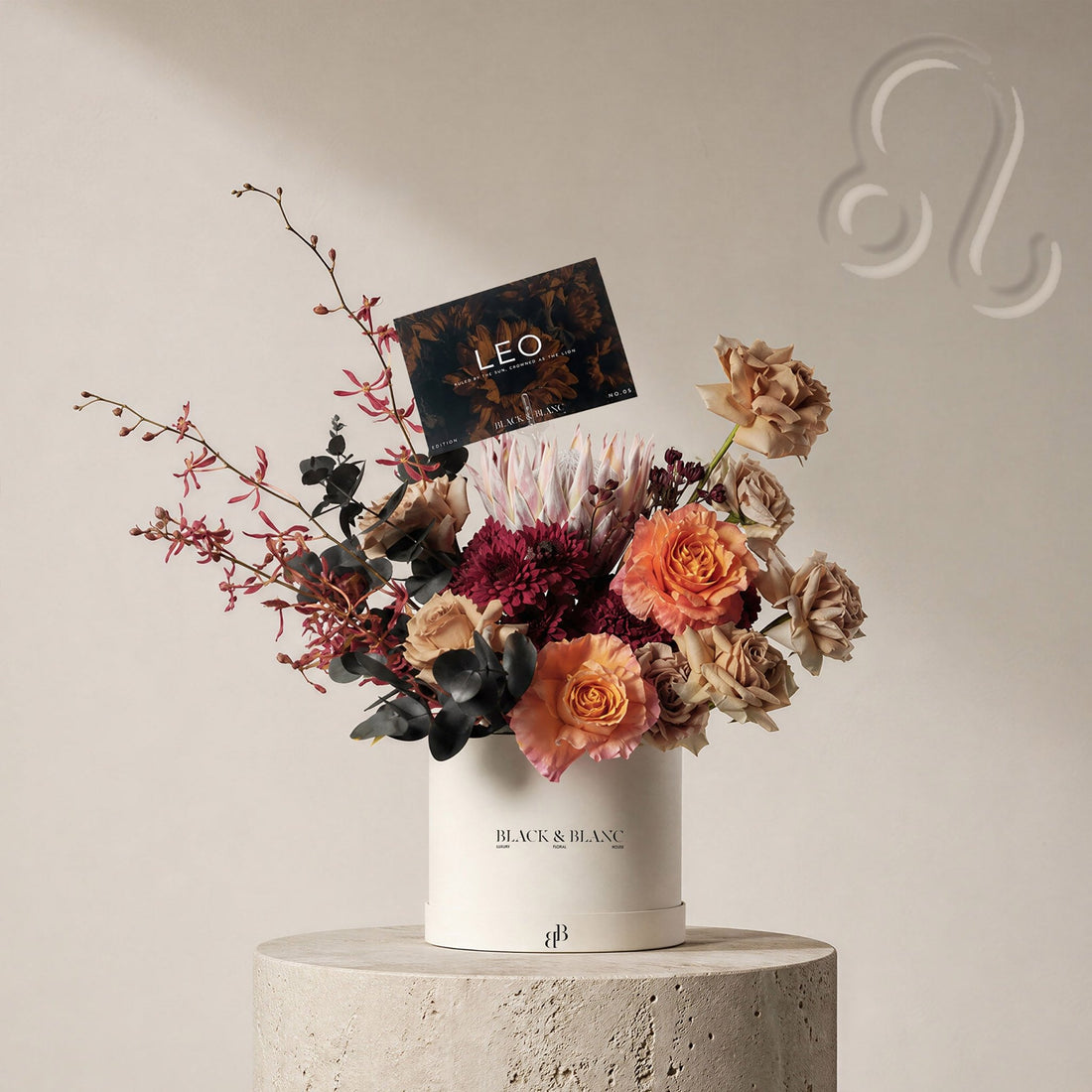 Leo - The Reign in Box - BLACK AND BLANC
