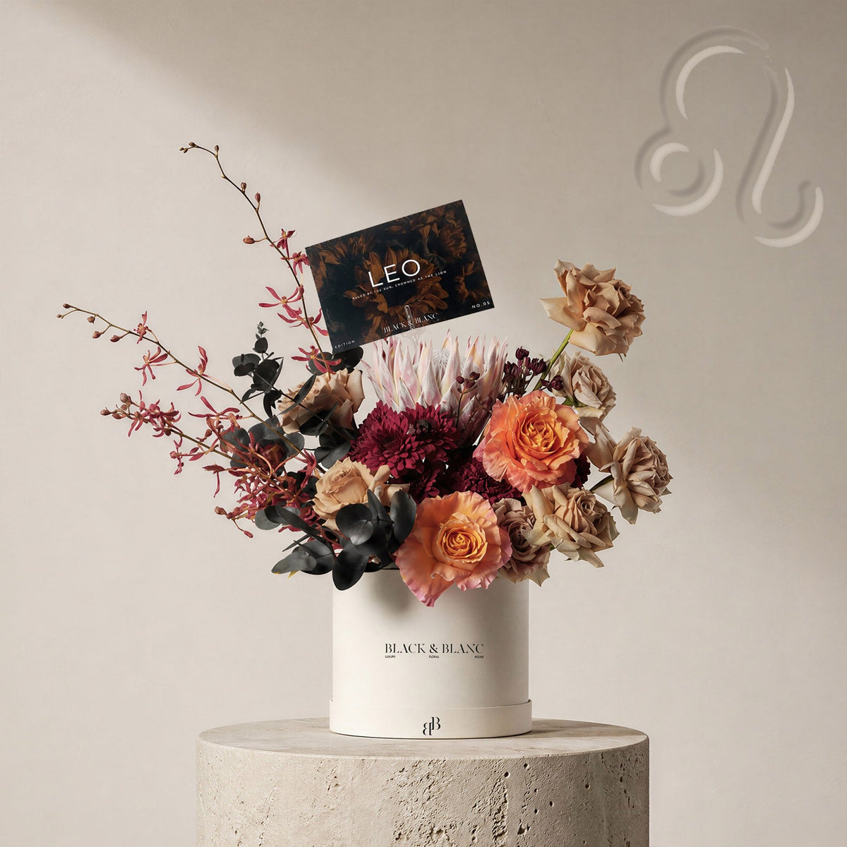 Leo - The Reign in Box - BLACK AND BLANC