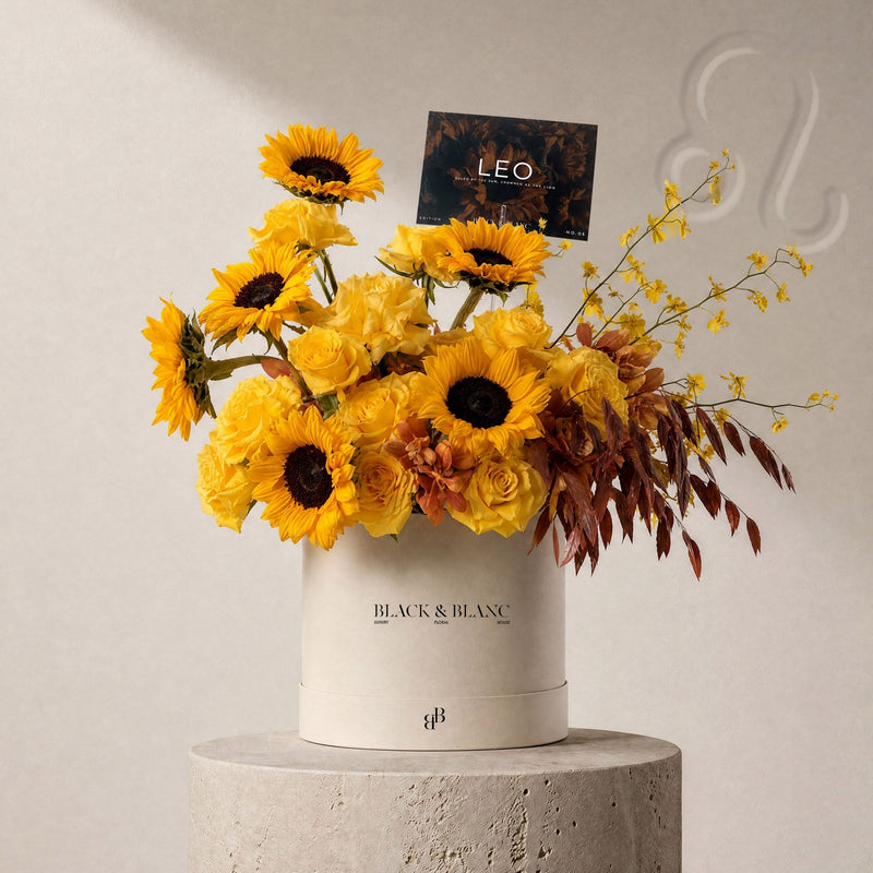 Leo - The Sun in Box - BLACK AND BLANC