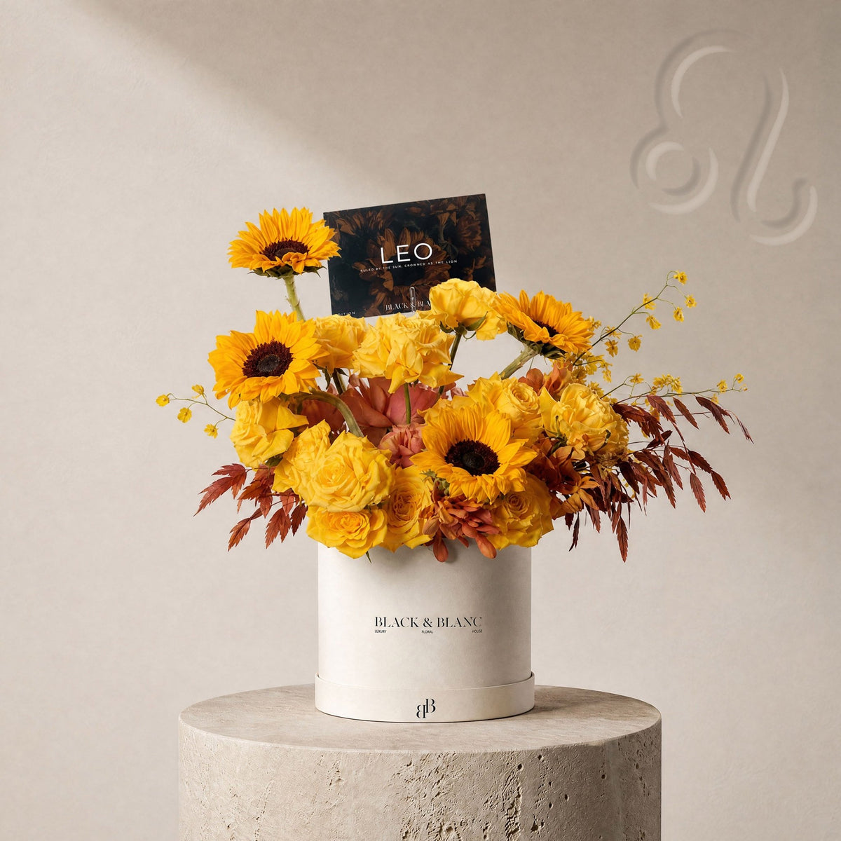 Leo - The Sun in Box - BLACK AND BLANC