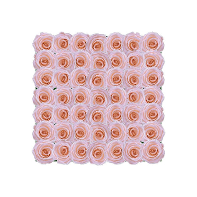 Letter B - Infiniry Roses - Blush / Blush