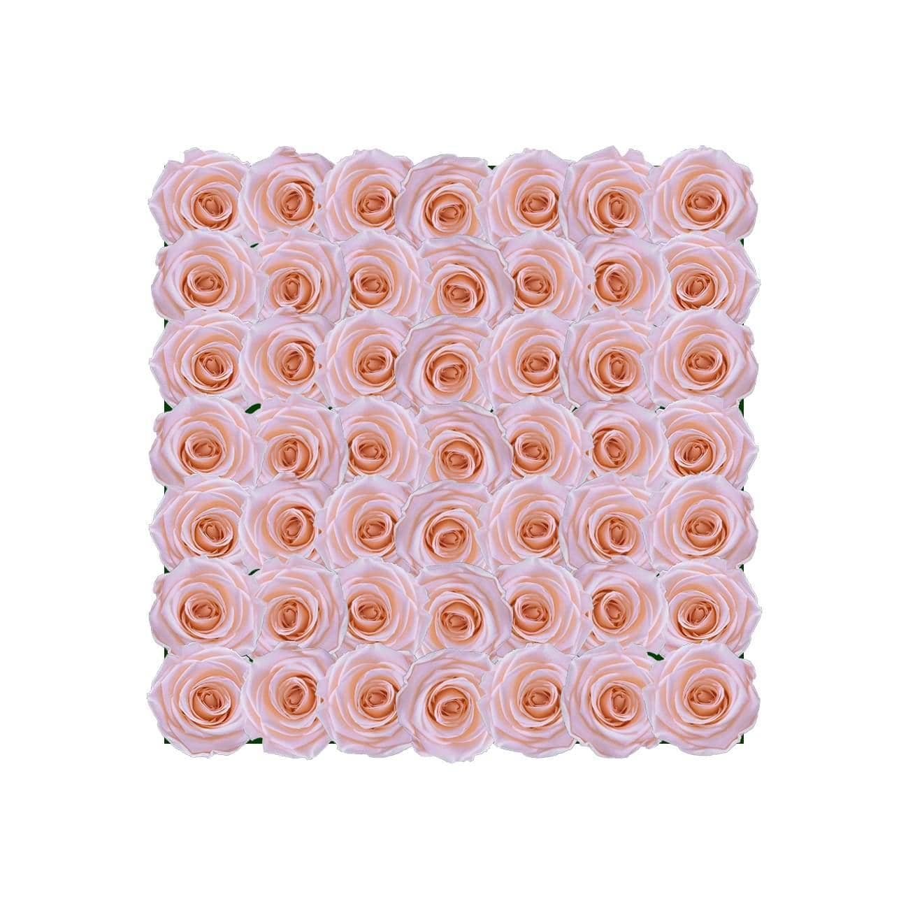 Letter B - Infiniry Roses - Blush / Blush