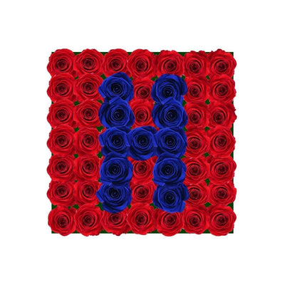Infinity Letter H - BLACK AND BLANC