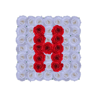 Infinity Letter H - BLACK AND BLANC