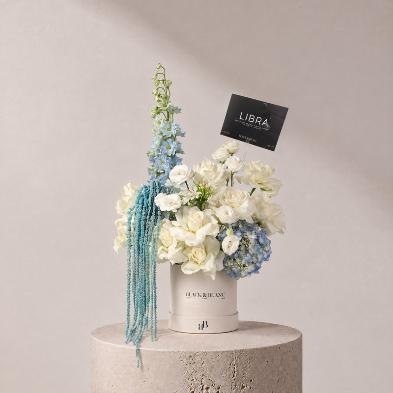 Libra - Poise in Box - BLACK AND BLANC