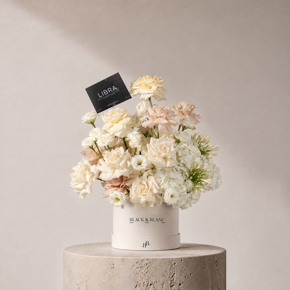 Libra - Serene in Box - BLACK AND BLANC