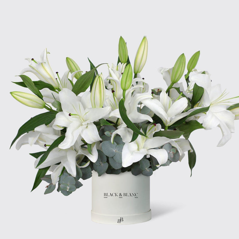 Lily White in Box - BLACK AND BLANC
