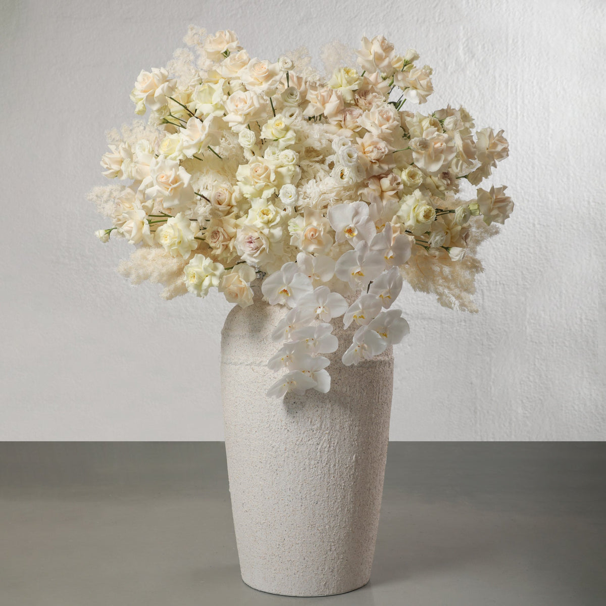 Loula in Vase - BLACK AND BLANC