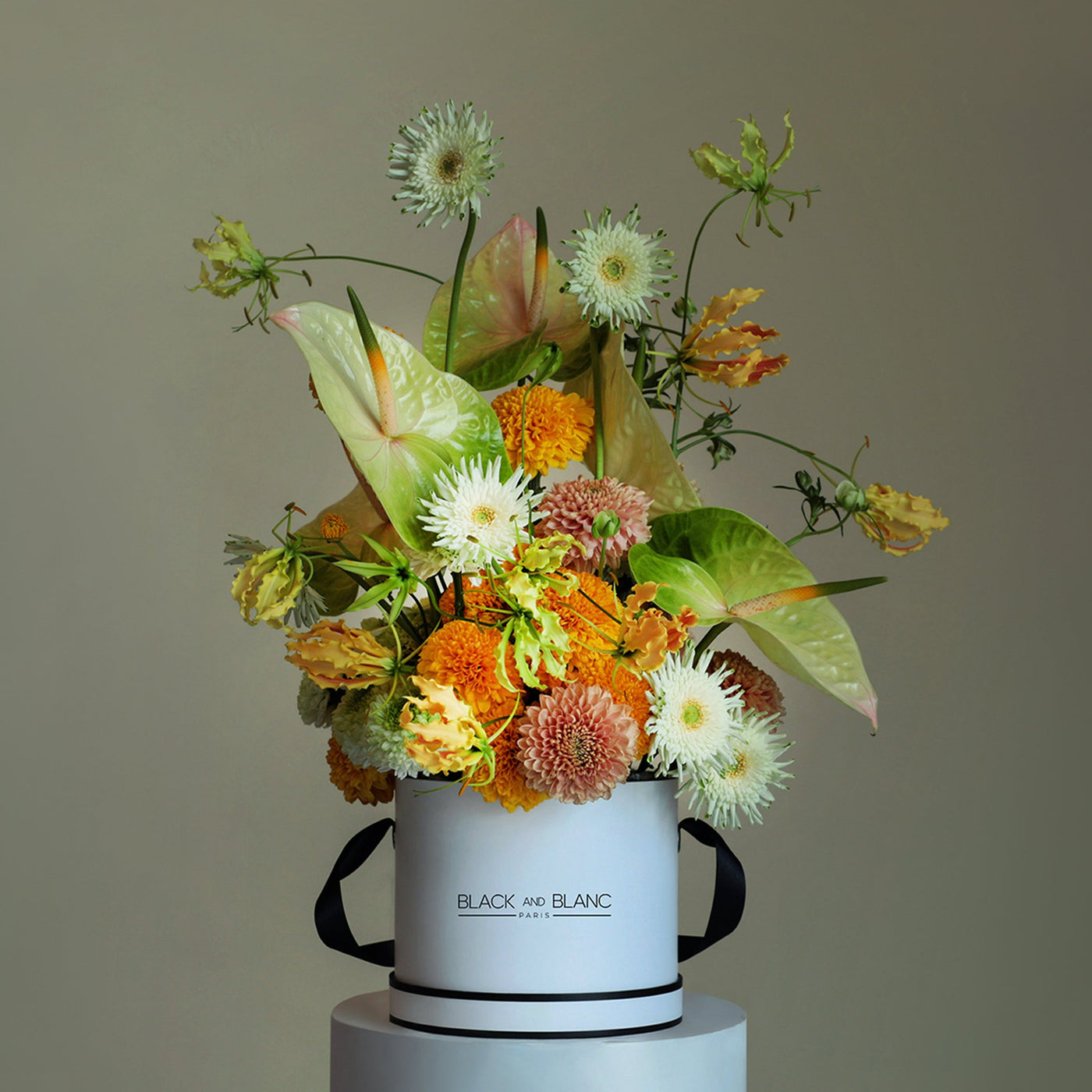 Lumière d’Automne