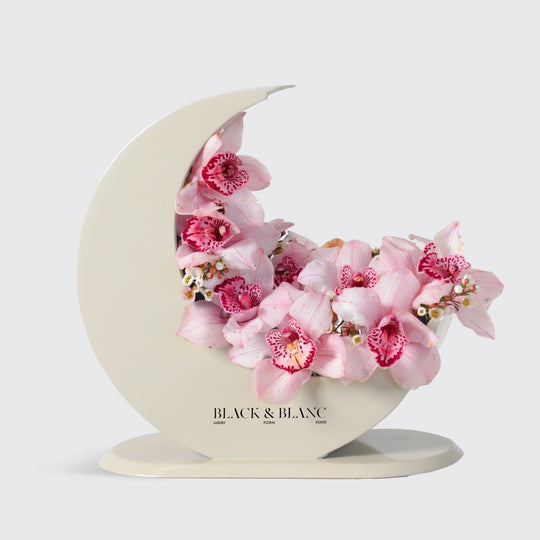 Lunar Elegance in Moon - BLACK AND BLANC