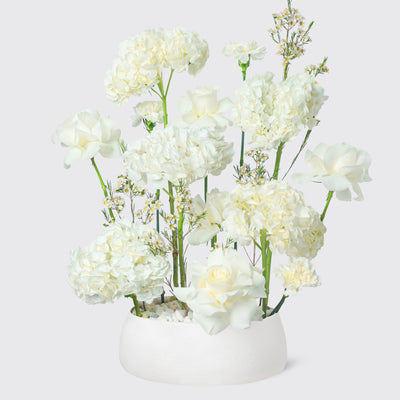 Lunar Glow in Vase - Mimosa Extra-Large