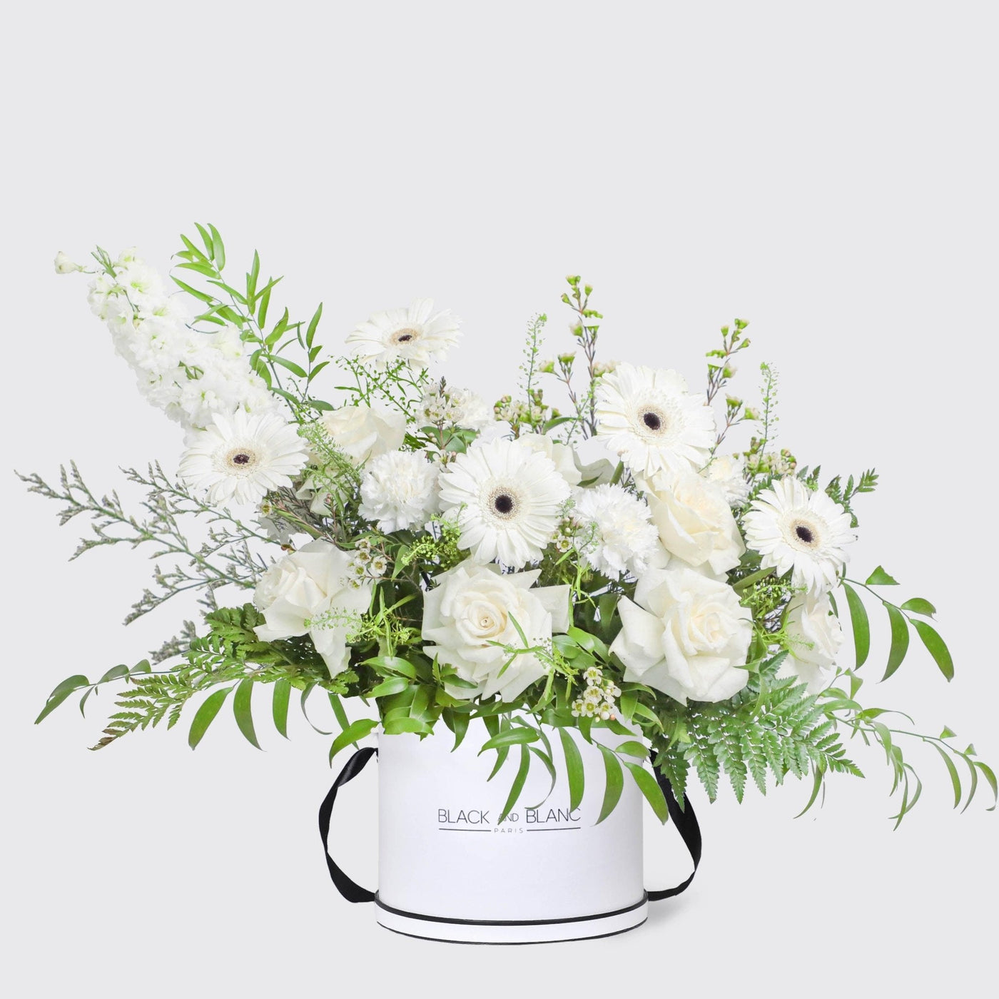 Lune Blanche in Box - BLACK AND BLANC
