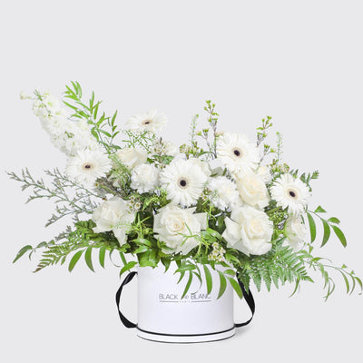 Lune Blanche in Box - BLACK AND BLANC