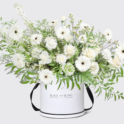 Lune Blanche in Box - BLACK AND BLANC
