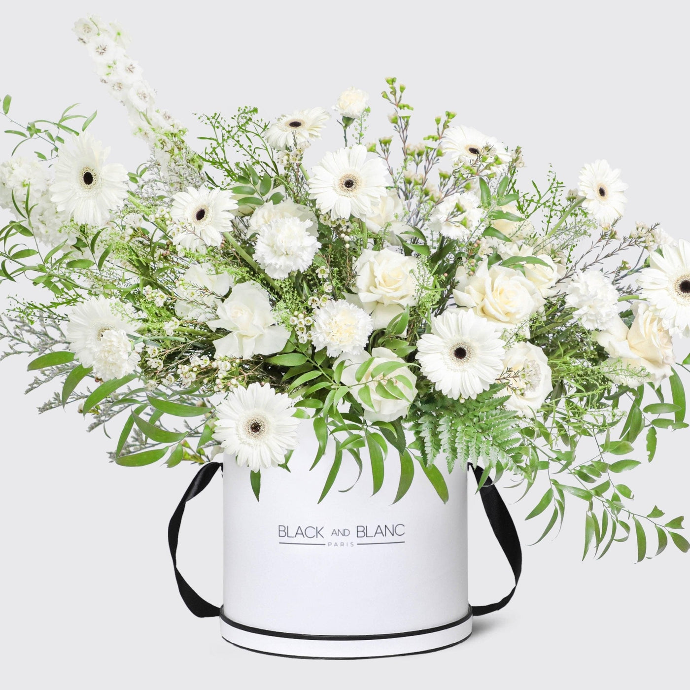 Lune Blanche in Box - BLACK AND BLANC