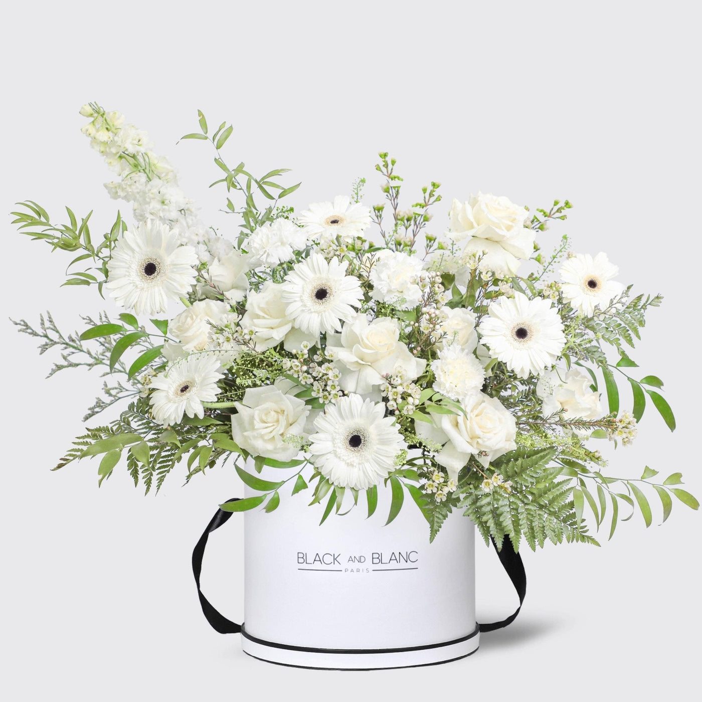 Lune Blanche in Box - BLACK AND BLANC