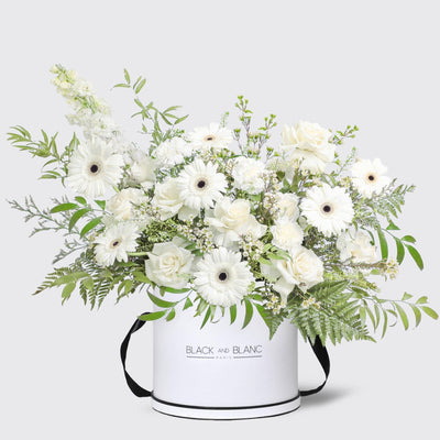 Lune Blanche in Box - BLACK AND BLANC