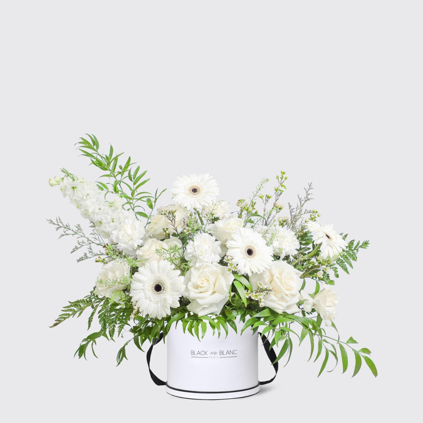 Lune Blanche in Box - BLACK AND BLANC