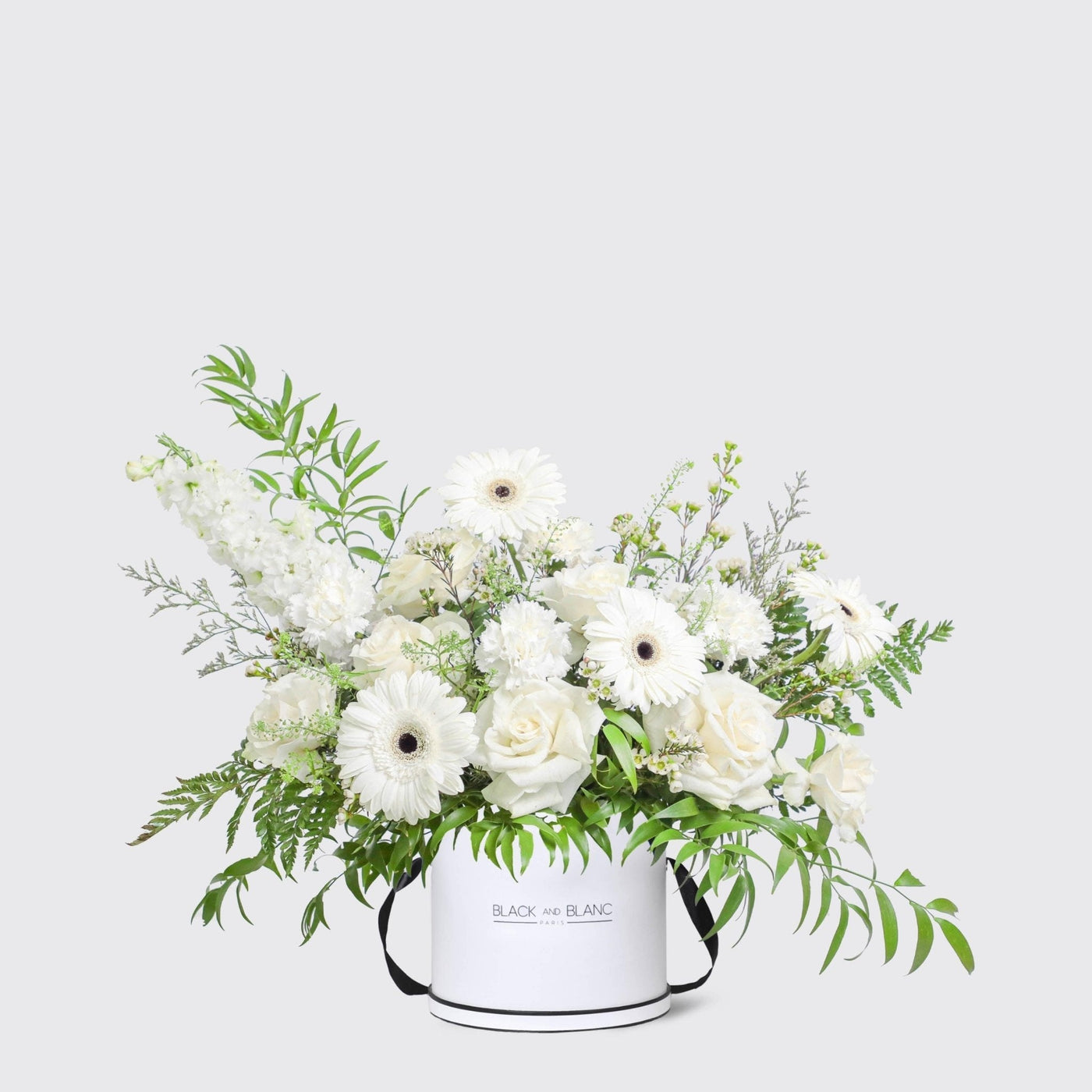 Lune Blanche in Box - BLACK AND BLANC